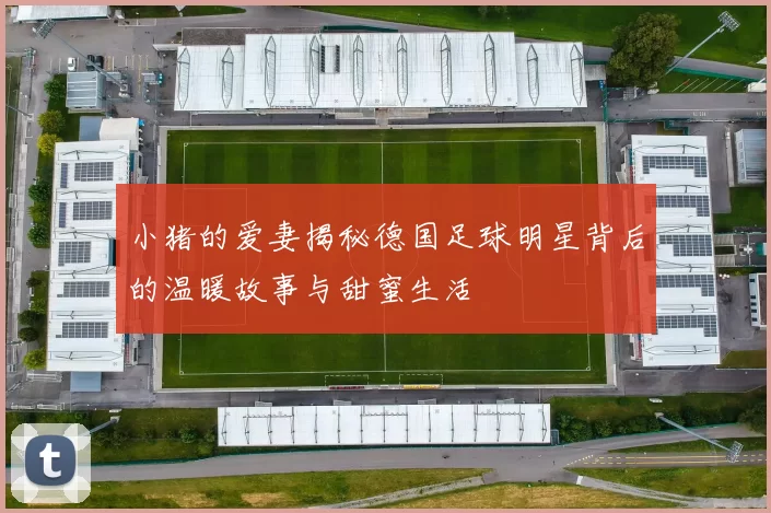 小猪的爱妻揭秘德国足球明星背后的温暖故事与甜蜜生活