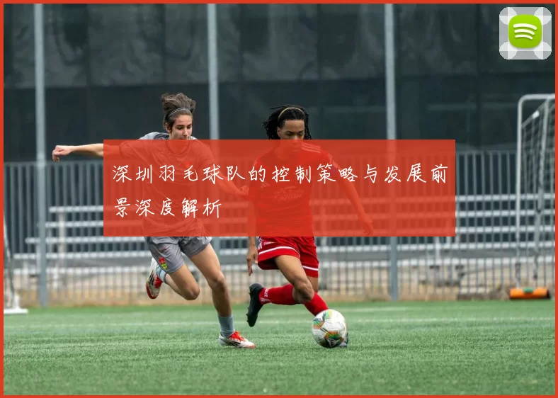 深圳羽毛球队的控制策略与发展前景深度解析