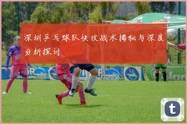深圳乒乓球队快攻战术揭秘与深度分析探讨