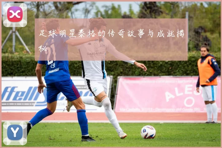 足球明星泰格的传奇故事与成就揭秘