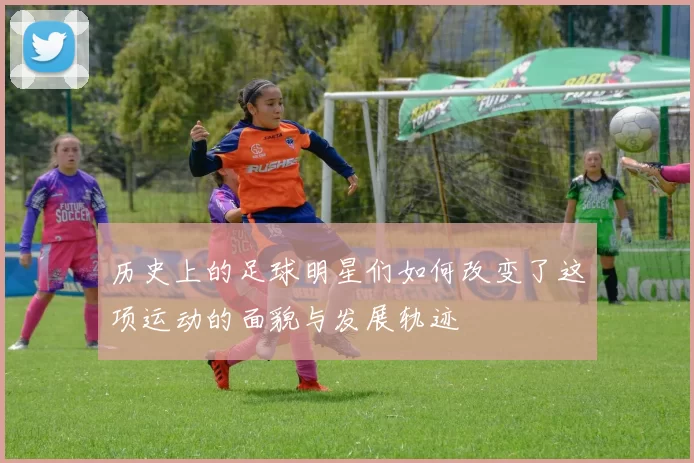 历史上的足球明星们如何改变了这项运动的面貌与发展轨迹