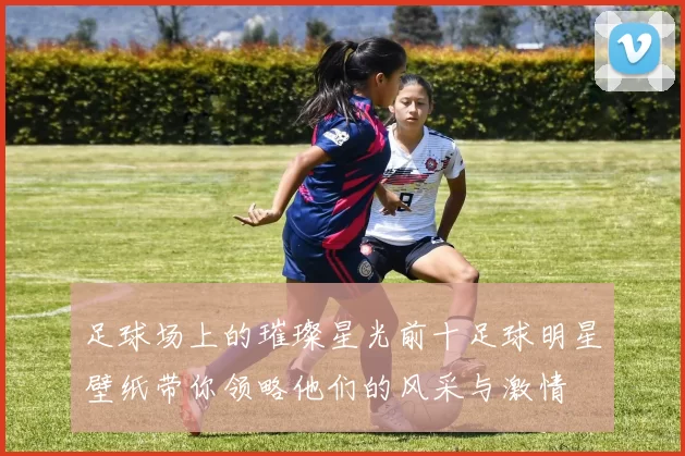 足球场上的璀璨星光前十足球明星壁纸带你领略他们的风采与激情