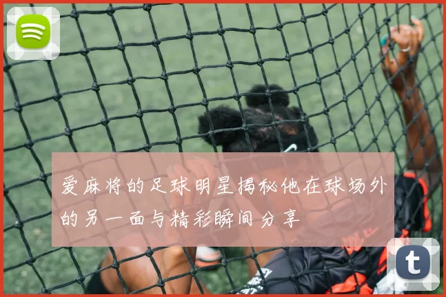 爱麻将的足球明星揭秘他在球场外的另一面与精彩瞬间分享