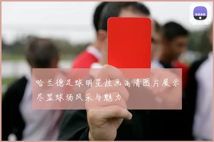 哈兰德足球明星挂画高清图片展示尽显球场风采与魅力