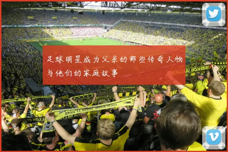 足球明星成为父亲的那些传奇人物与他们的家庭故事