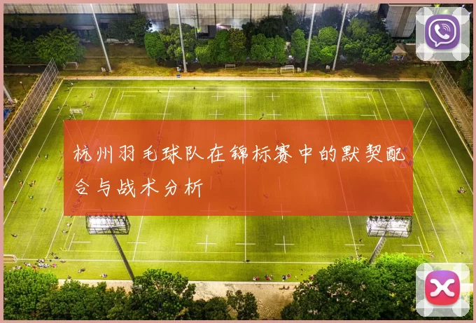 杭州羽毛球队在锦标赛中的默契配合与战术分析