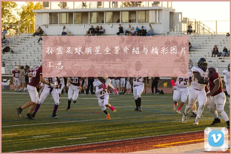 孙雪足球明星全景介绍与精彩图片汇总