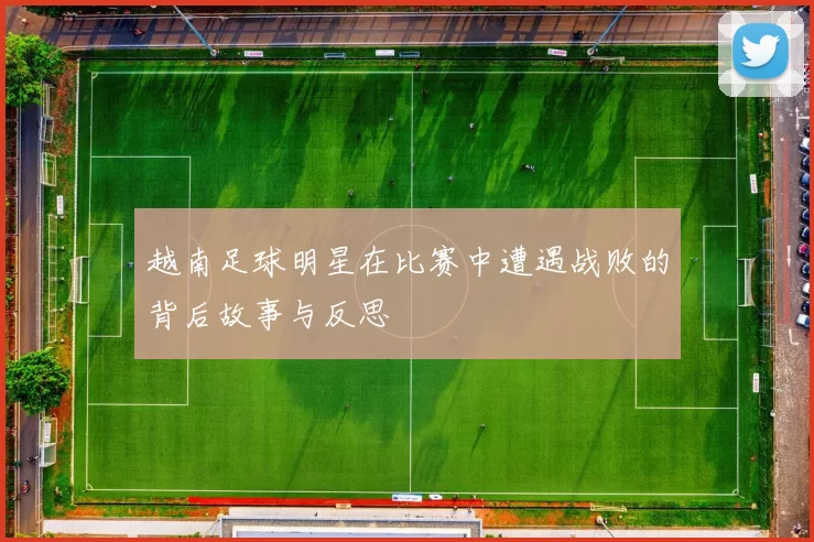 越南足球明星在比赛中遭遇战败的背后故事与反思